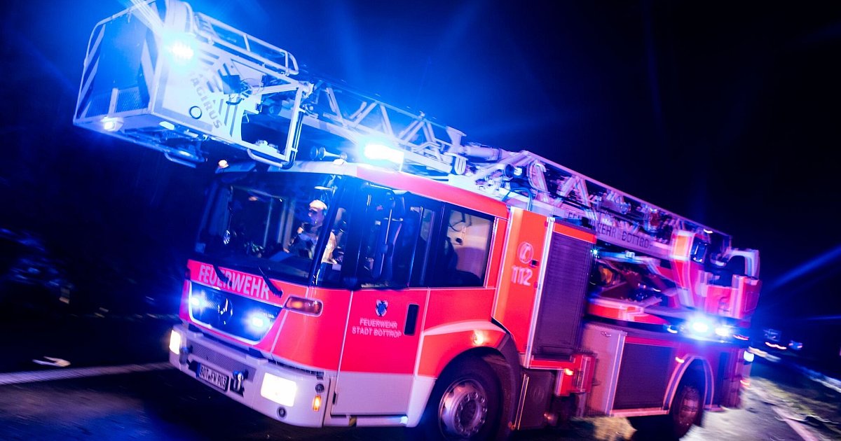 Sturmböen in Düsseldorf: Rund 50 Meter hoher Baum stürzt um | NRW
