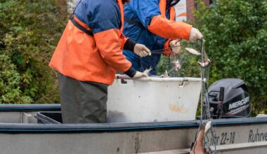 Fischbestand im Aasee erholt sich weiter