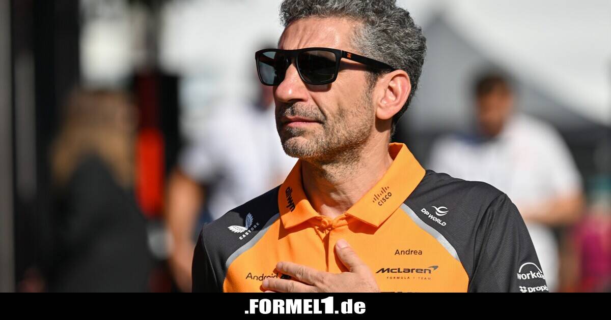 Stella erklärt, warum Norris die Schuld trägt