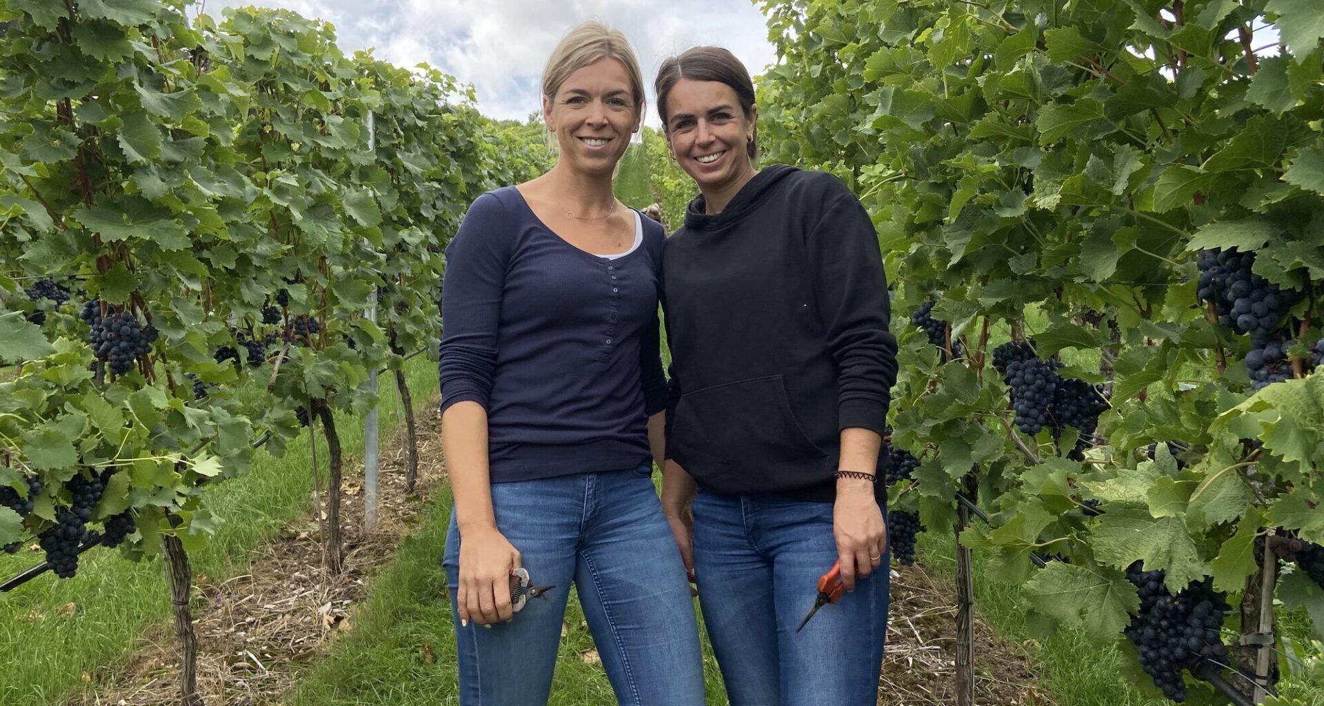 Weinlese am Kappelberg: „Trollinger verkörpert für mich Heimat“  - Nachrichten aus Fellbach