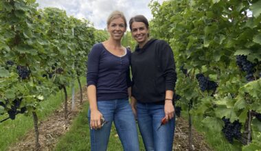 Weinlese am Kappelberg: „Trollinger verkörpert für mich Heimat“  - Nachrichten aus Fellbach