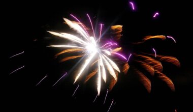 Cannstatter Volksfest im Newsblog: Was Sie zum Wasen-Feuerwerk wissen müssen - Nachrichten aus Stuttgart