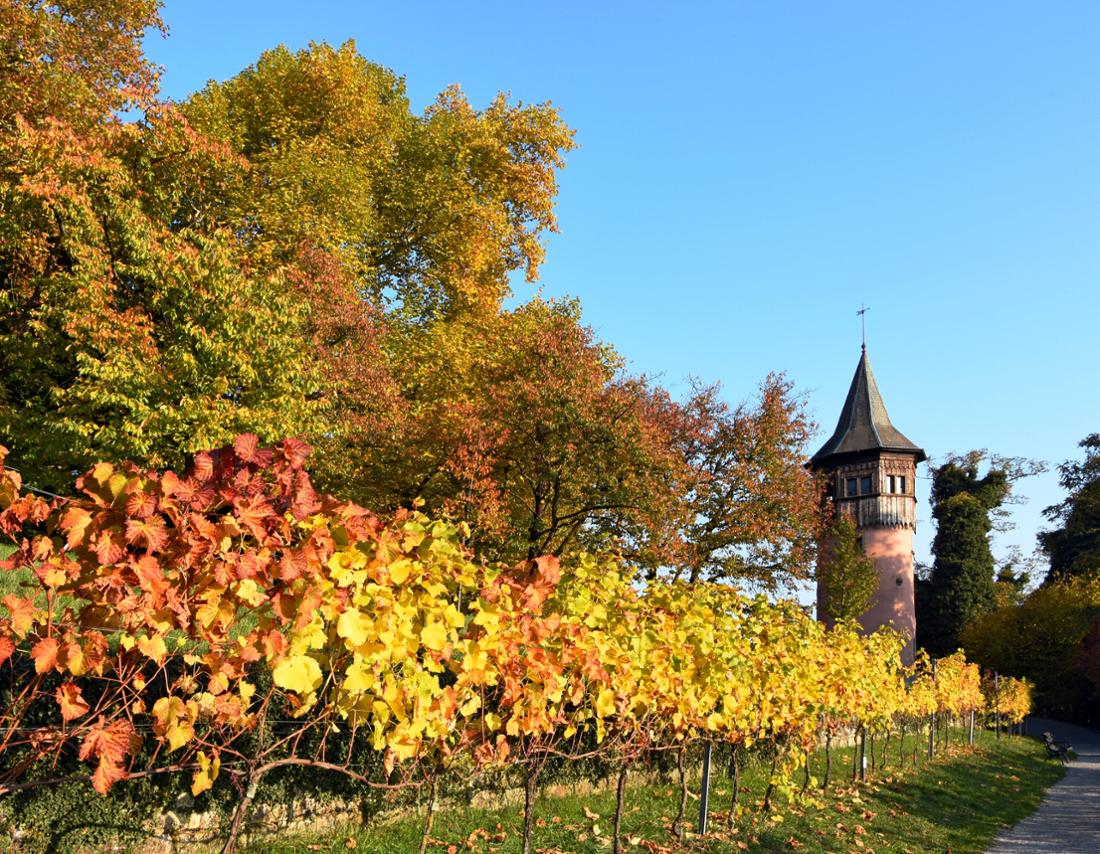 Herbststimmung am Schwedenturm auf der Insel Mainau am Bodensee.
