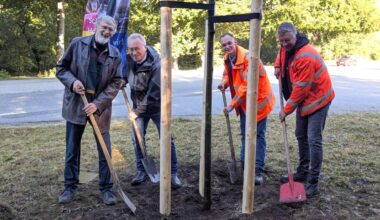 155 neue Bäume an der B4 – Einheitsbuddeln für Allee Altona-Kiel
