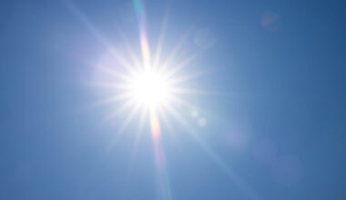 Vom Kinderbuch zum Erwachsensein: Frederick, ADHS oder man nennt es auch Intuition