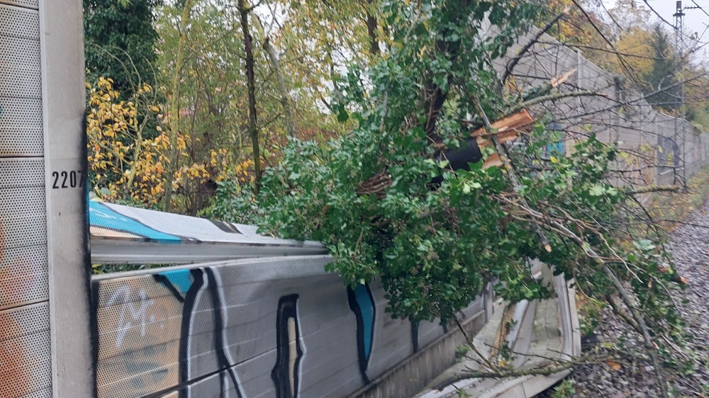 Zuerst drückte der Baum eine Lärmschutzwand ein.
