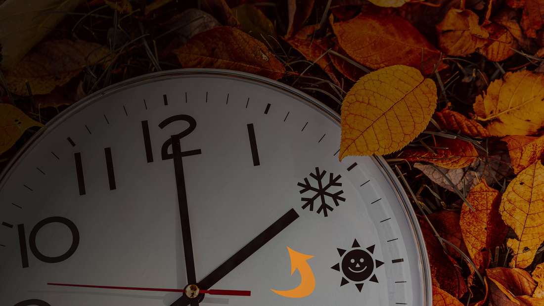 Wecker liegt im herbstlichen Laub