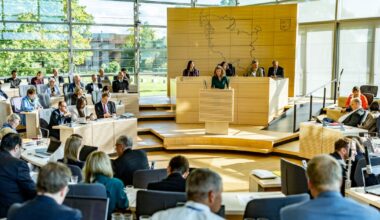 Fraktionen im Landtag in SH wollen AfD-Überprüfung