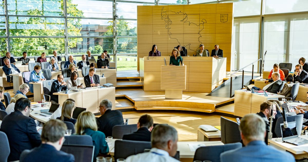 Fraktionen im Landtag in SH wollen AfD-Überprüfung