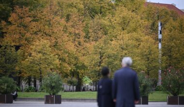 Klimaschutz in Berlin: Weniger Geld für mehr Bäume: Kompromiss ist in Sicht