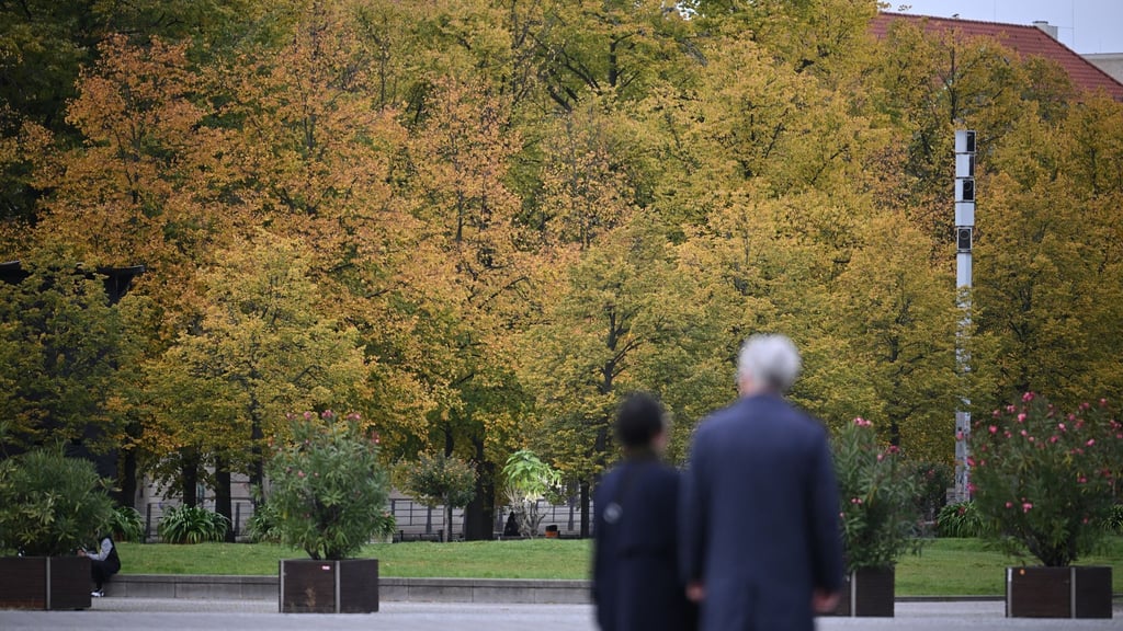 Klimaschutz in Berlin: Weniger Geld für mehr Bäume: Kompromiss ist in Sicht