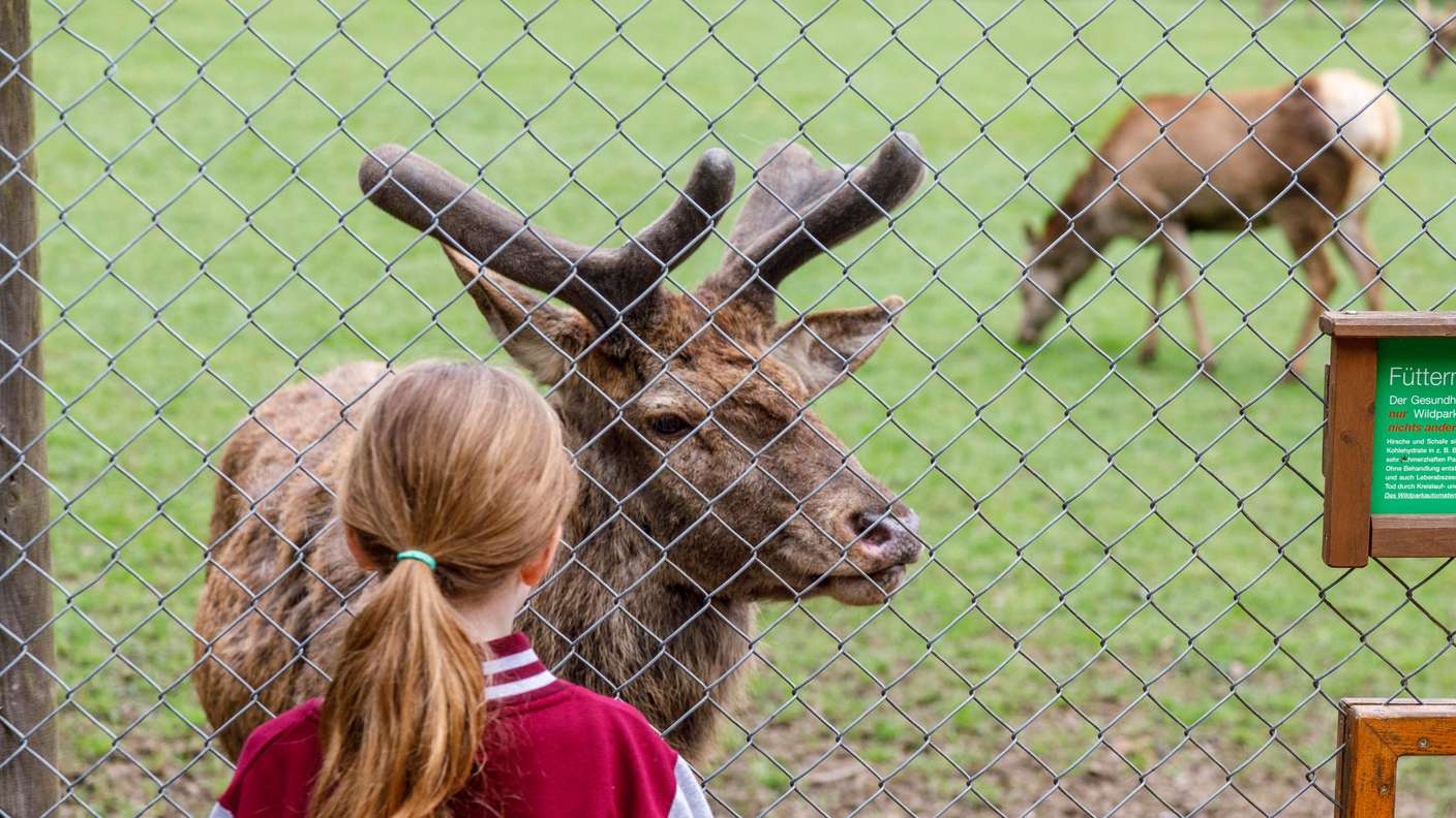 n tierisches Erlebnis im Wildpark Düsseldorf im Grafenberger Wald. 