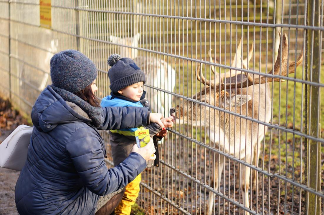 Mahlzeit! Auch in Alsdorf darf man die Tiere mit dem Futter von vor Ort füttern. 