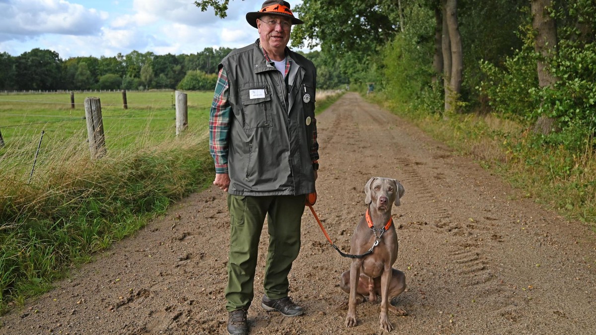 Wolfsberater Gunther Esther mit seinem Weimaraner Darius, den er bei Spaziergängen durch den Wald derzeit an der kurzen Leine hält. Gunther Esther ist der Wolfsbeauftragte von Hamburg und Schleswig-Holstein.