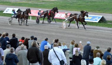 Infos und Tipps für Anfänger beim Saisonhöhepunkt