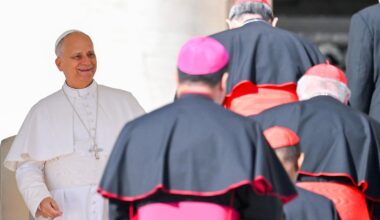 Papst Leo XIV. gewährt Hamburgs Oberkatholiken 22 Sekunden