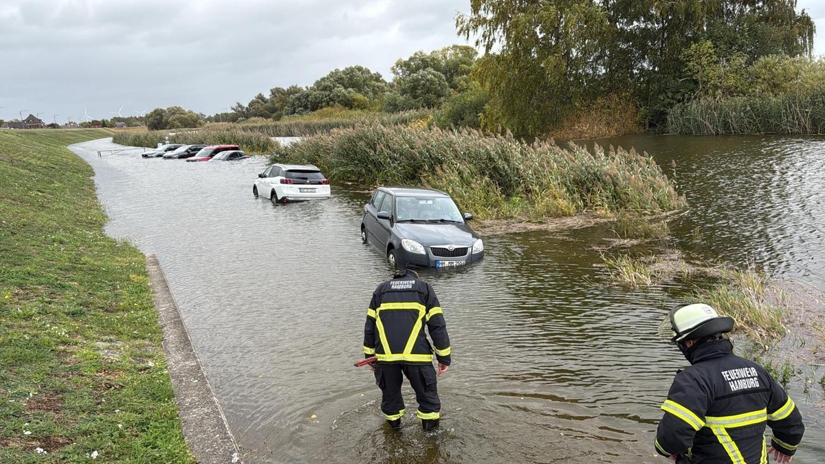 Autos stehen am Elbdeich in Hamburg-Kirchwerder im Wasser