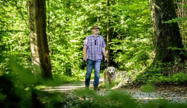 So bleibt das Gassigehen sicher – 7 wichtige Tipps