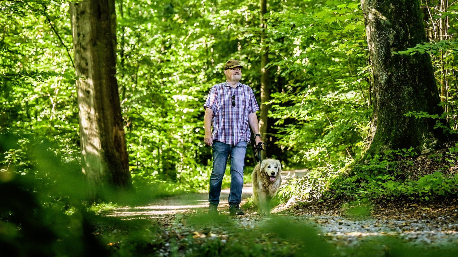 So bleibt das Gassigehen sicher – 7 wichtige Tipps