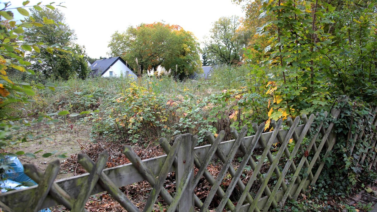 Verwildertes Grundstück am Ahornweg bzw. Zedernweg in Bochum-Wiemelhausen