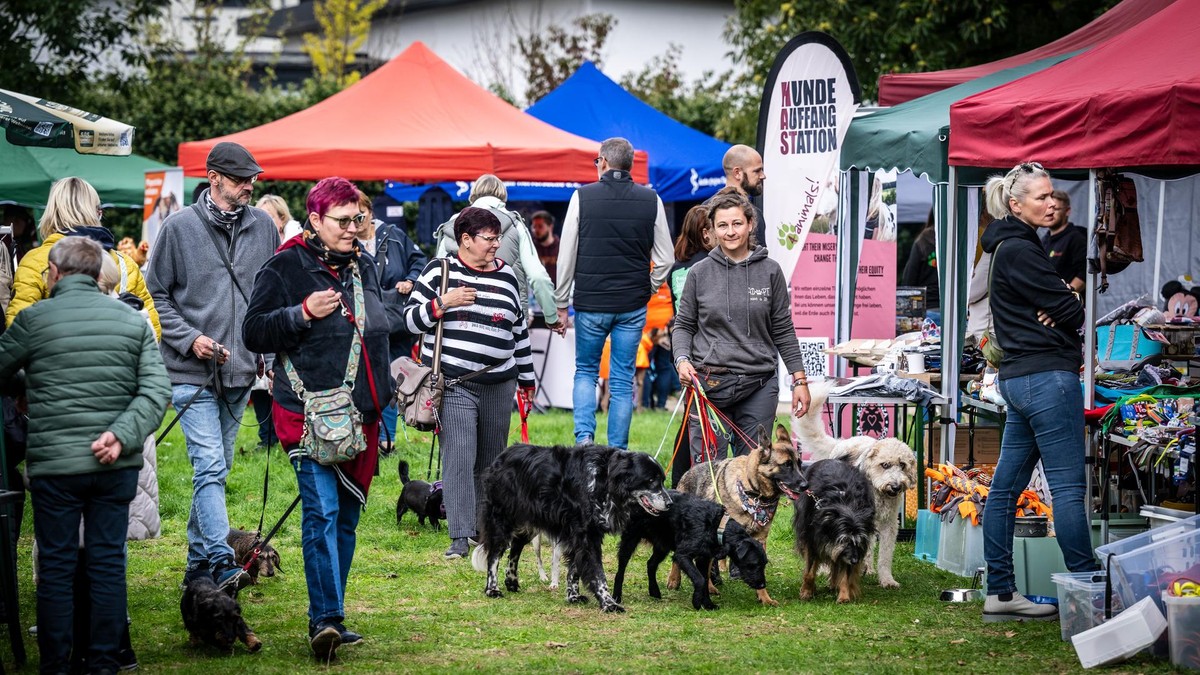 Werden auch nach dem Schulausbau noch große Veranstaltungen wie das Tierschutzfest auf dem Gelände der Feldmann Stiftung in Mülheim möglich sein?