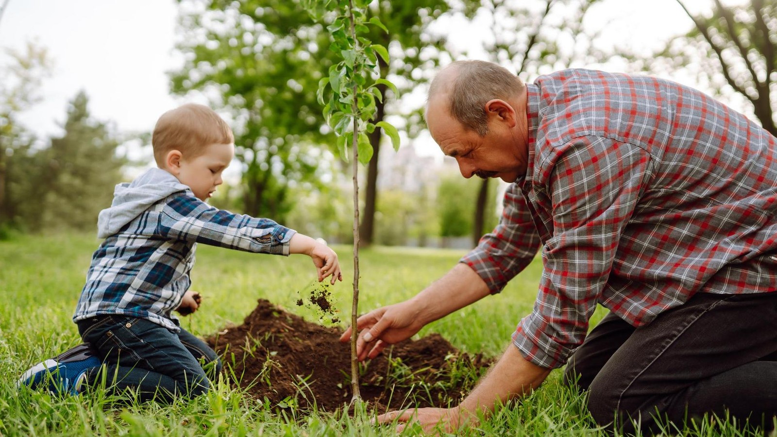 Bleibendes schaffen und Zukunft gestalten – über das eigene Leben hinaus