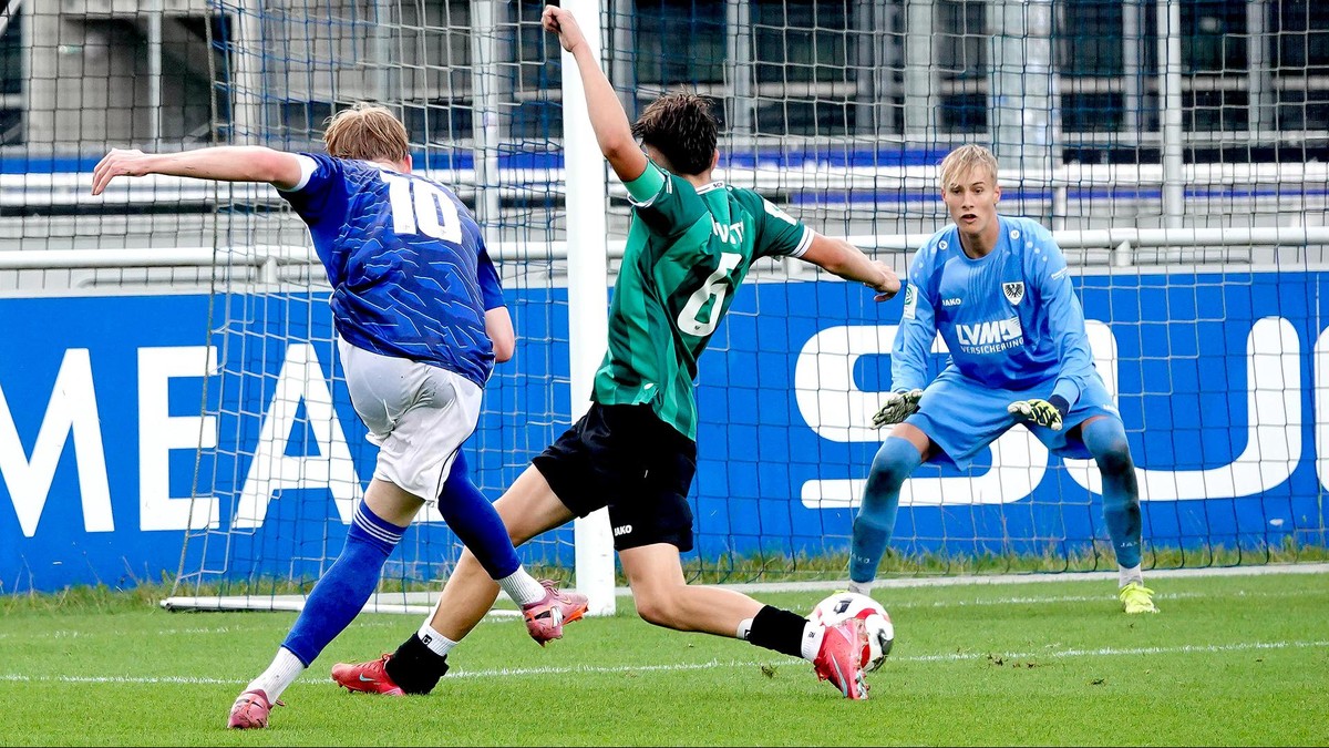 Mika Brocks beim Torabschluss gegen Münster: Der Schalker Sieg geriet im zweiten Durchgang nicht mehr in Gefahr.  Mika Brocks beim Torabschluss gegen Münster: Der Schalker Sieg geriet im zweiten Durchgang nicht mehr in Gefahr.