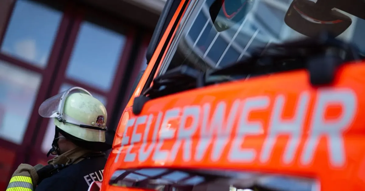 Basketball-Bundesliga: Nach Feueralarm: Towers Hamburg verlieren auch gegen Bonn - Deutschland & Welt