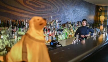 „Bar des Jahres“ ist wieder in Berlin zu finden