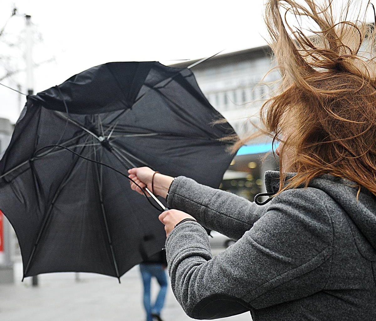 Sturm in Essen: Grugapark musste schließen