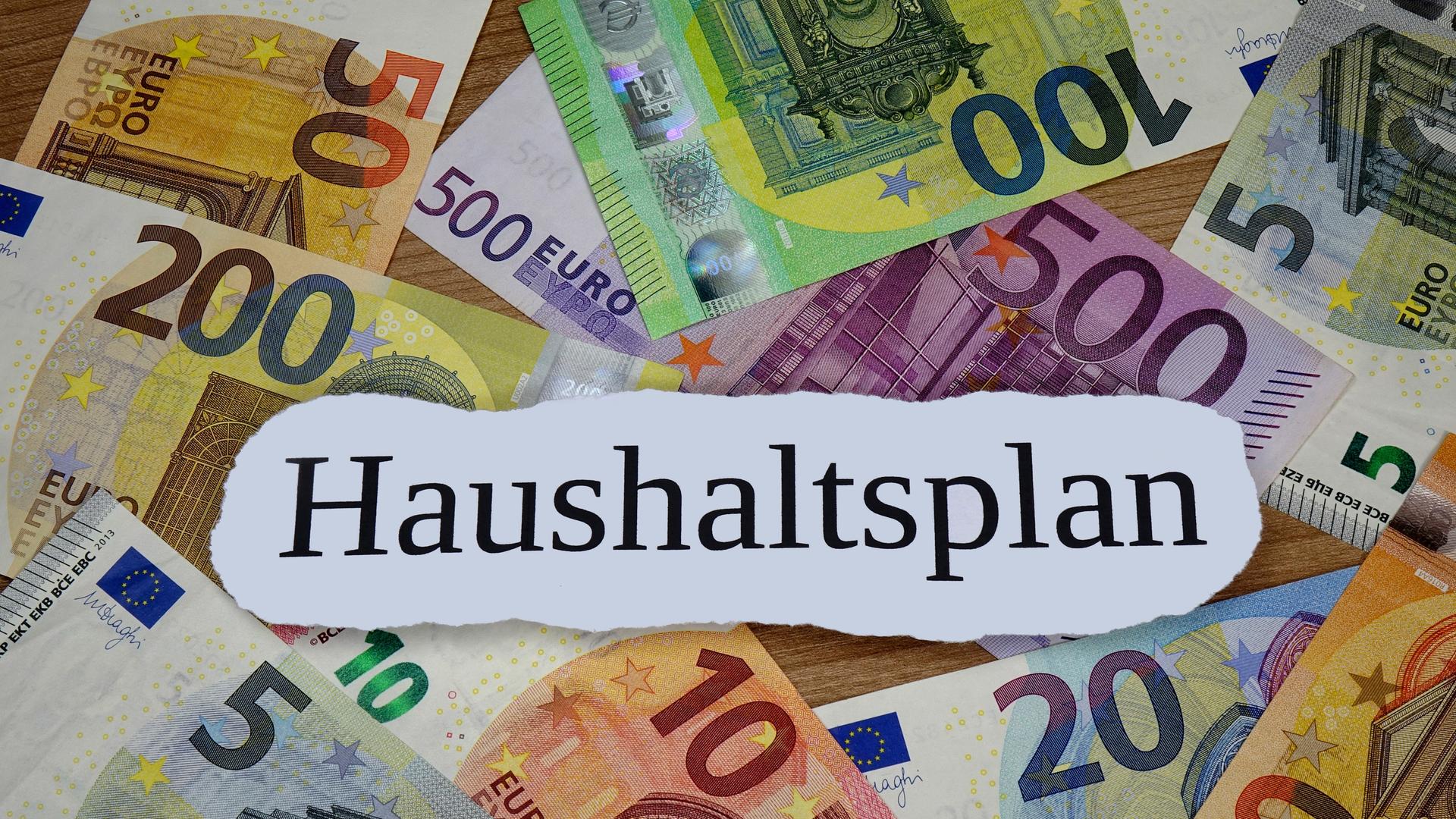 Auf verschiedenen Geldscheinen befindet sich der Schriftzug Haushaltsplan.
