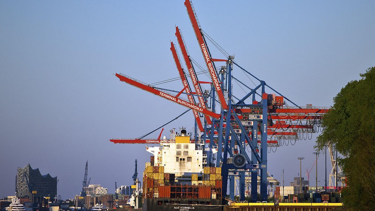 MSC auf Expansionskurs: Warum die weltgrößte Reederei nach Easyjet greifen könnte