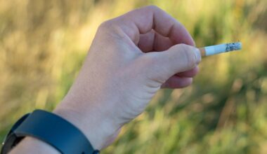 Hamburg erhöht Bußgelder für Müllsünder