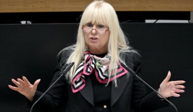 Organisierte Kriminalität - Berlin federführend bei Projekt gegen illegale Autovermieter - Panorama
