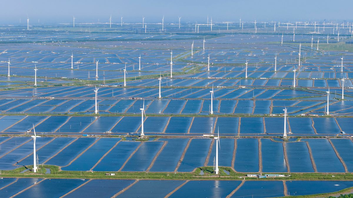 "Entscheidender Wendepunkt": Studie: Erneuerbare lösen Kohle als größte globale Stromquelle ab