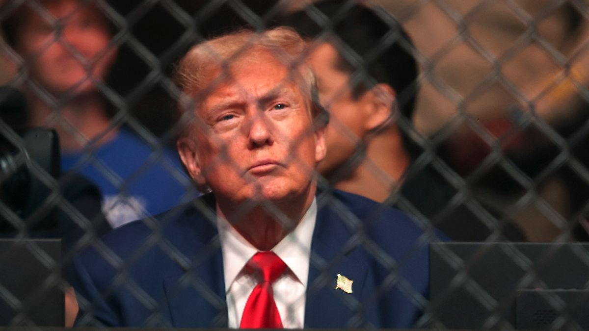 Zum 80. Geburtstag: Trump plant Käfigkampf vor dem Weißen Haus