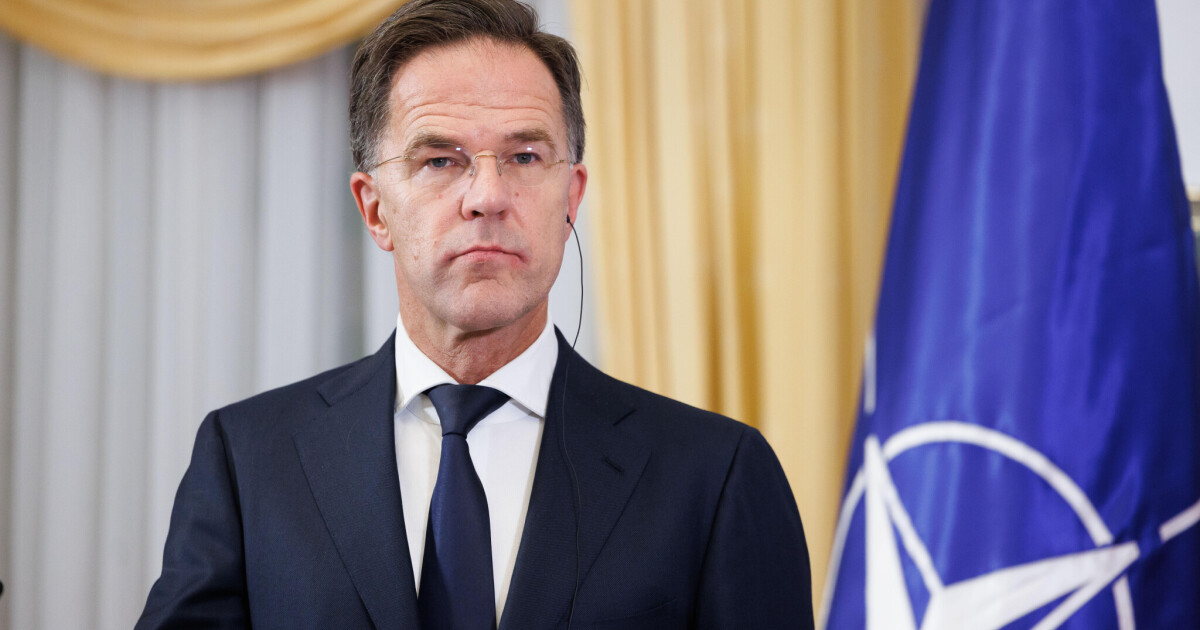 Weshalb Mark Rutte die Führung bei der Drohnenabwehr beanspruchen wird • Table.Briefings