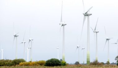 Entwicklung reicht nicht aus: Ausbau erneuerbarer Energien erreicht 2024 Rekordwert