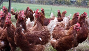 10:09 Nasa testet erstmals knallfreies Überschallflugzeug - nTV