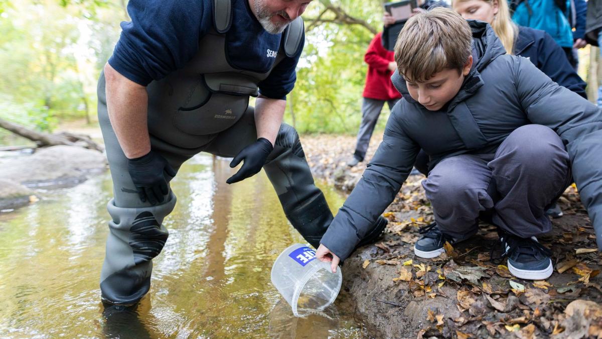 Schüler setzen 3.000 junge Lachse in Hannover aus