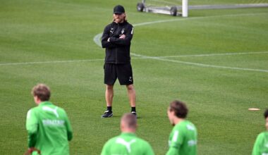Borussia Mönchengladbach: SO plant Eugen Polanski den Münster-Test | Sport