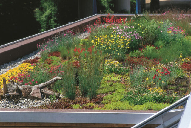 Begrüntes Garagendach