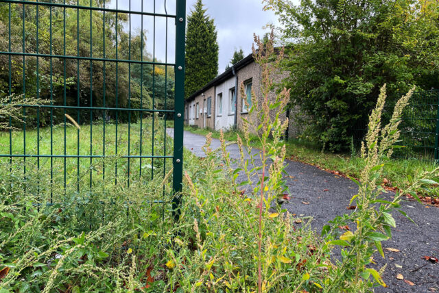 Blick an einem Zaun vorbei auf das Gelände an der Gartenstraße in Herten. Es ist ein Flachbau zu sehen und viel gewuchertes Gebüsch.