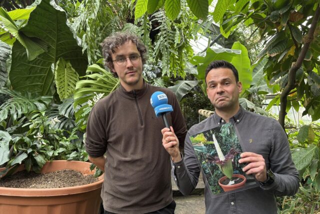 Hendrik Denkhaus (l.), wissenschaftlicher Mitarbeiter im botanischen Garten des Rombergparks, spricht mit Reporter Martin Bytomski.