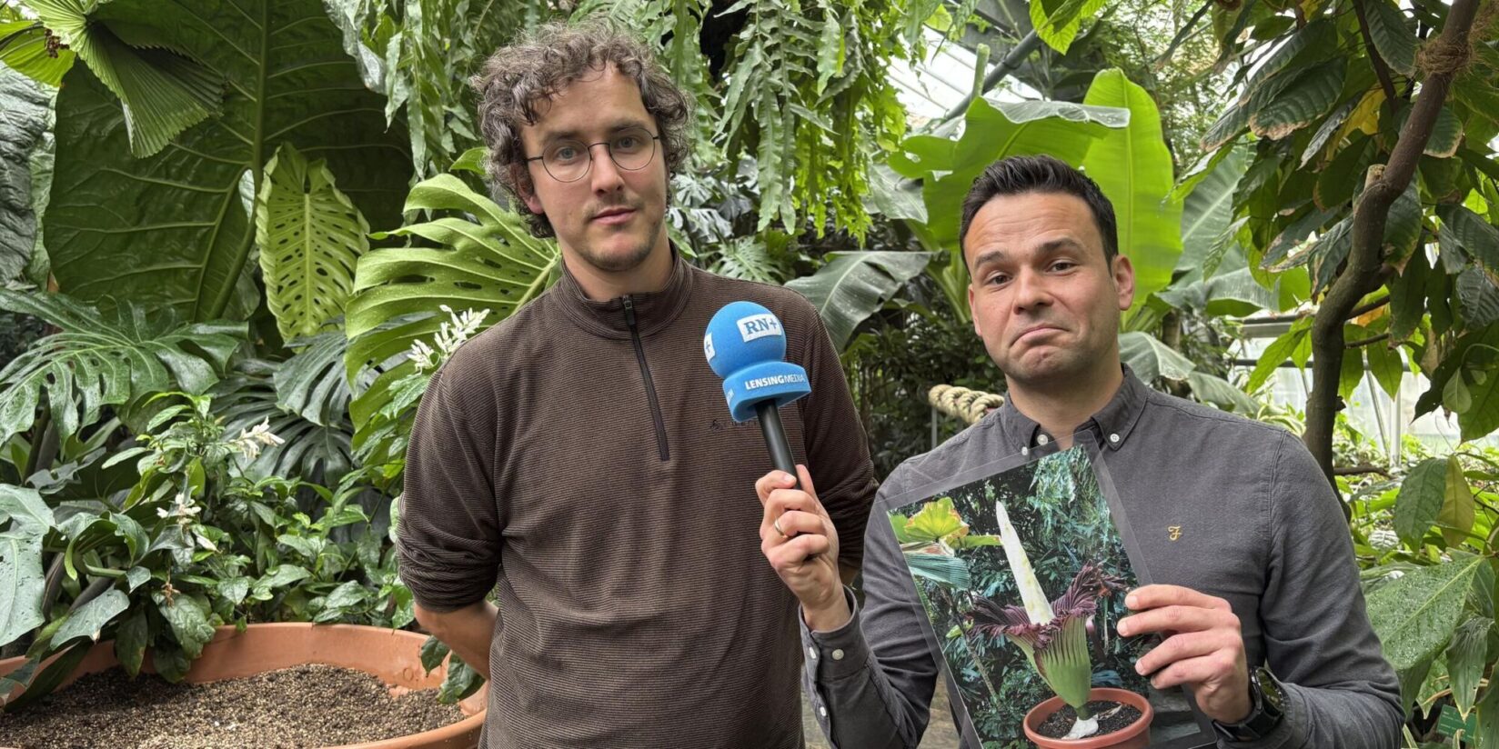 Titanenwurz in Dortmund geklaut - das sagt ein Mitarbeiter