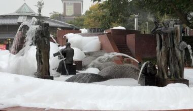 Hoher Reinigungsaufwand nach „Schaumparty“ am Stadtgarten