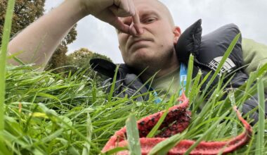 Exotischer Fund auf Rennwiese in Castrop