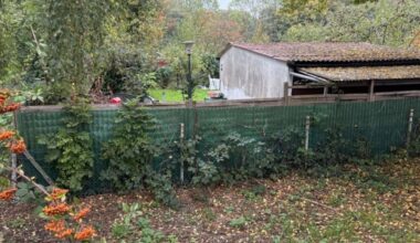 Nach Fahndung 20-Jähriger stellt sich der Polizei Dortmund wegen versuchtem Tötungsdelikt