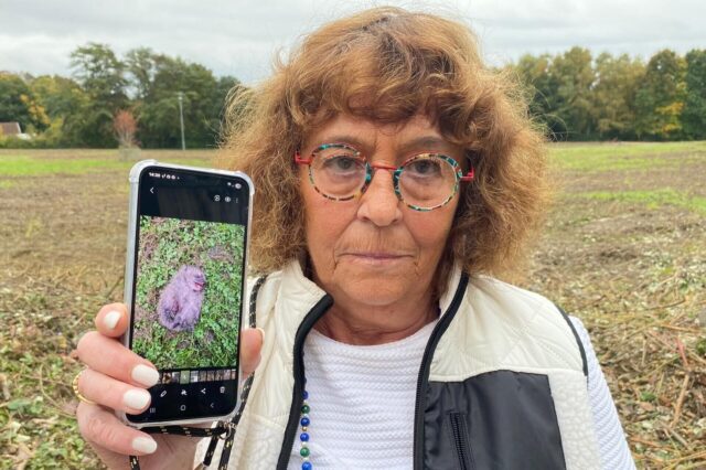 Dagmar Peitel zeigt auf ihrem Handy das Foto eines getöteten Igels.