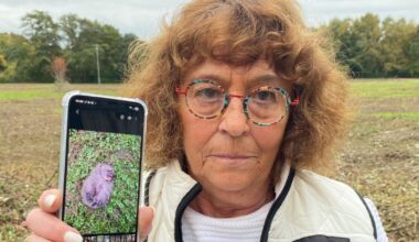 Stadt Herten und E.ON töten beim Grünschnitt zehn Igel